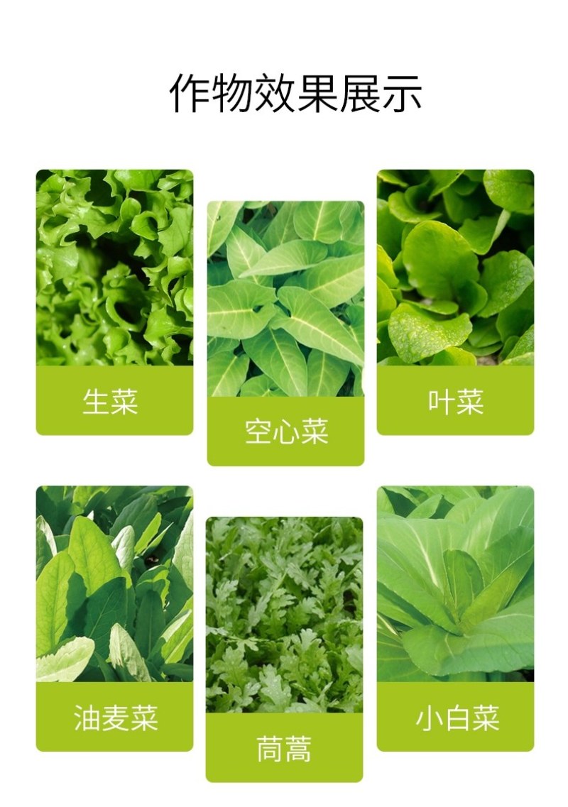 【包邮】利叶叶菜专用黄叶转绿叶肉肥厚叶色油绿