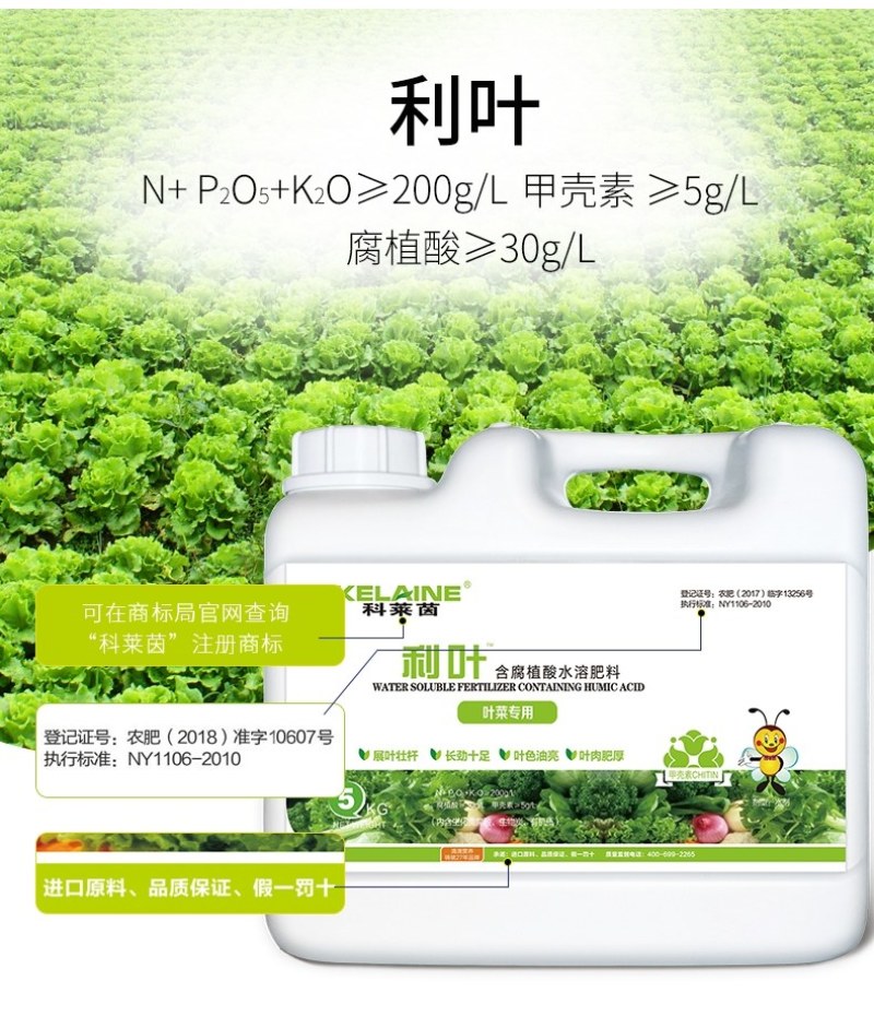 【包邮】利叶叶菜专用黄叶转绿叶肉肥厚叶色油绿