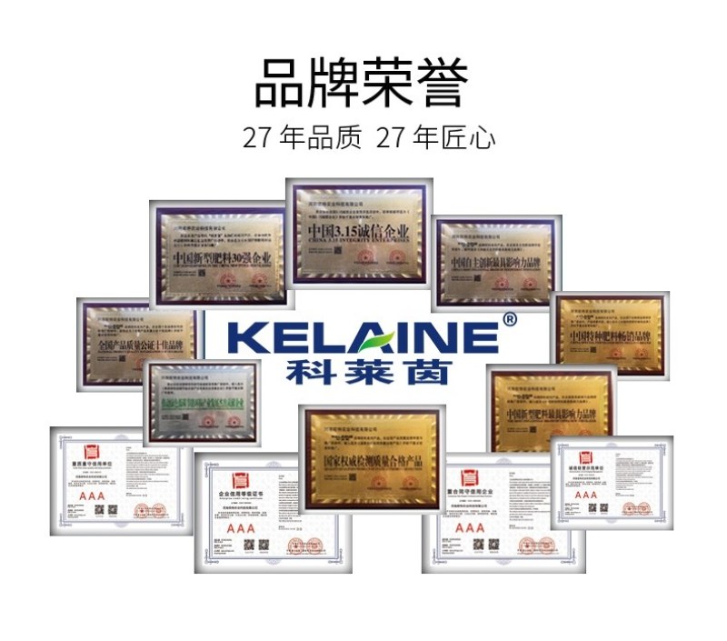 【包邮】利叶叶菜专用黄叶转绿叶肉肥厚叶色油绿