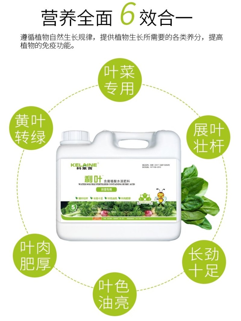 【包邮】利叶叶菜专用黄叶转绿叶肉肥厚叶色油绿