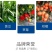 【包邮】花果管家保花保果抑制脱落增强抗逆防病防落