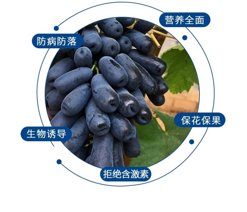 【包邮】花果管家保花保果抑制脱落增强抗逆防病防落
