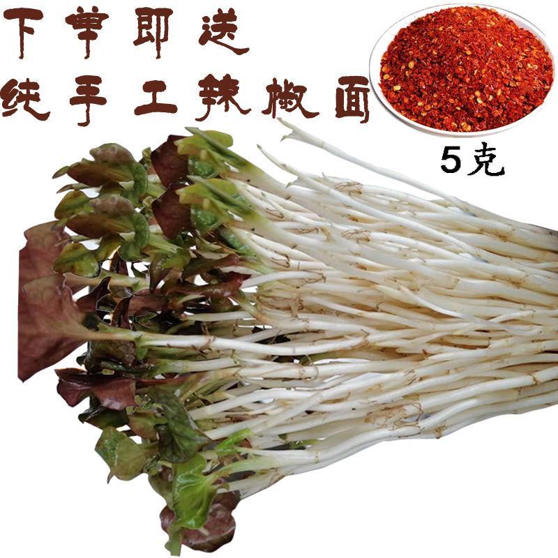 折耳根野生鱼腥草有种植跟野生两种价格