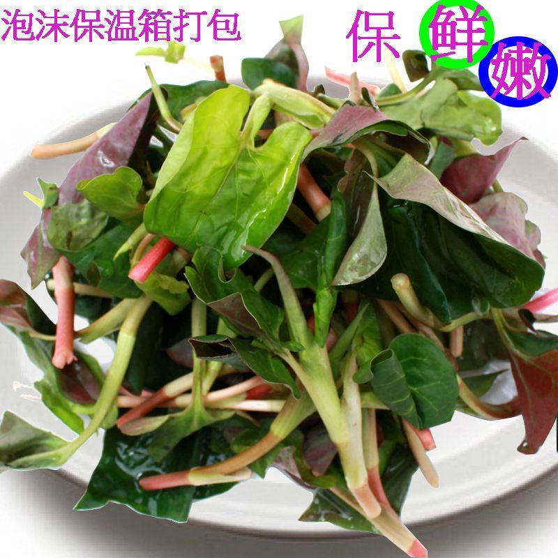 折耳根野生鱼腥草有种植跟野生两种价格