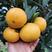 橙子精品夏橙挂树鲜果果园实地看货承接全国电商团购