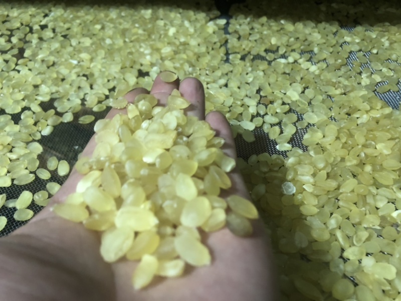 精品皂角米大双荚（雪莲子），