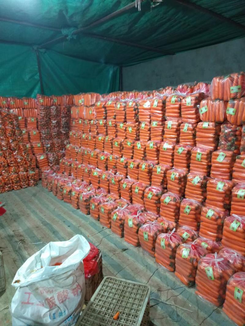胡萝卜，基地大量供应，加工水洗各种包装，代收代发