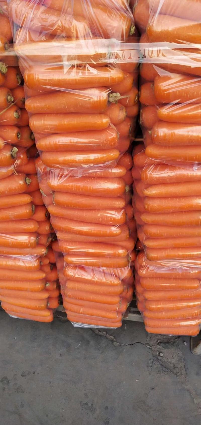 胡萝卜，基地大量供应，加工水洗各种包装，代收代发