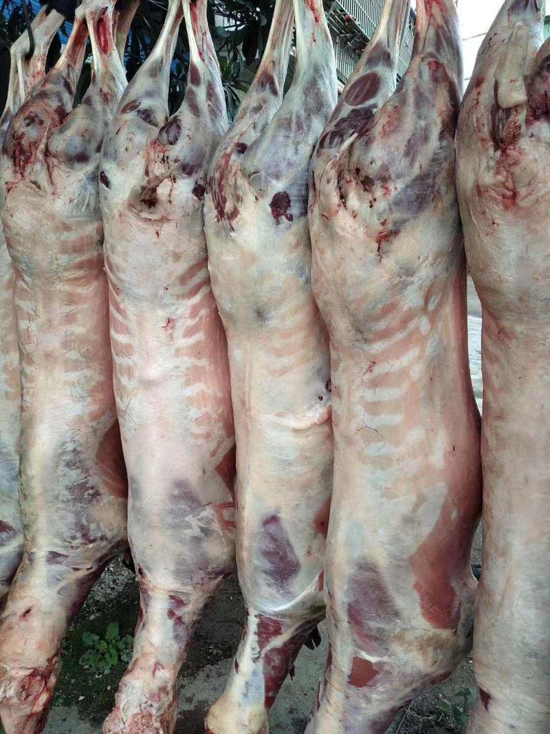 羊酮体羊肉各种羊副产品山东产地直销品质保证