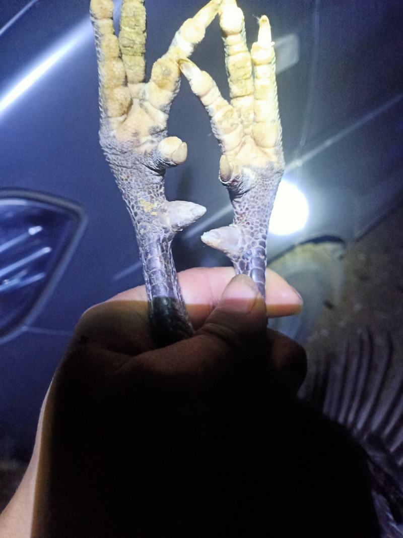 农村散货数量少规矩的哈