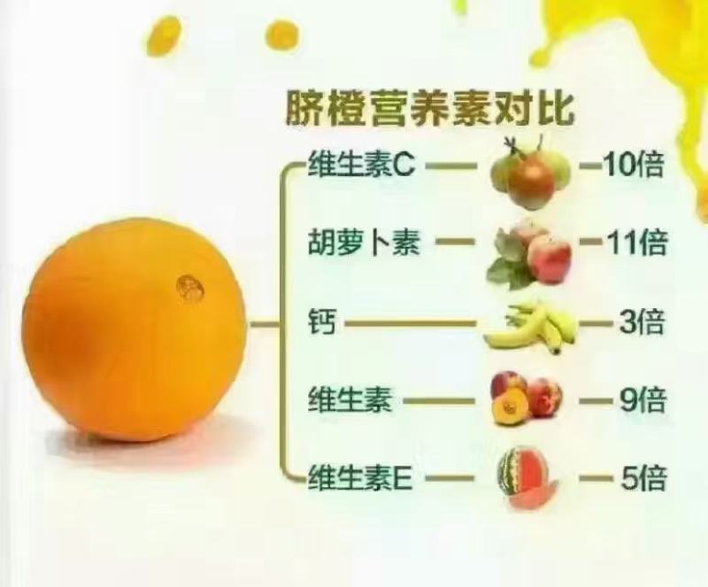 赣南脐橙，需要的可以看过来