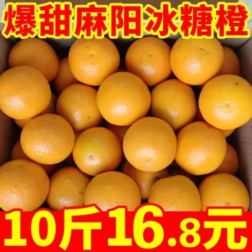 湖南麻阳冰糖橙一件代发整车批发落地配产地代办