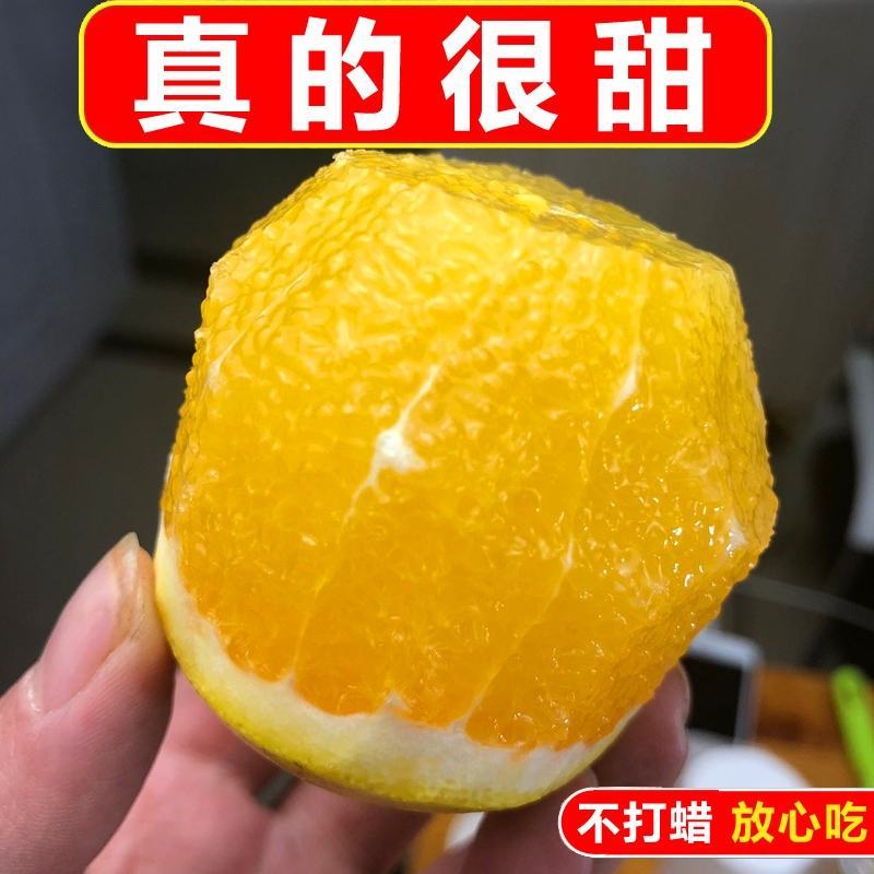 湖南麻阳冰糖橙一件代发整车批发落地配产地代办