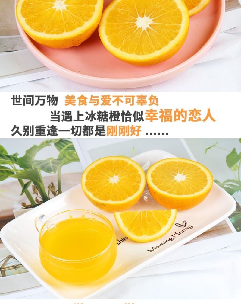 湖南麻阳冰糖橙一件代发整车批发落地配产地代办
