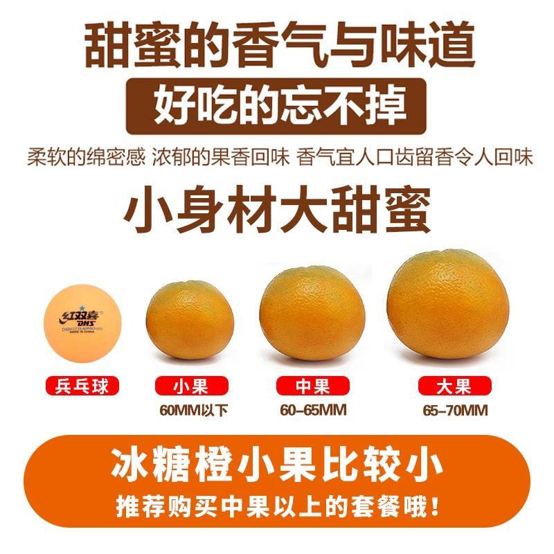 湖南麻阳冰糖橙一件代发整车批发落地配产地代办
