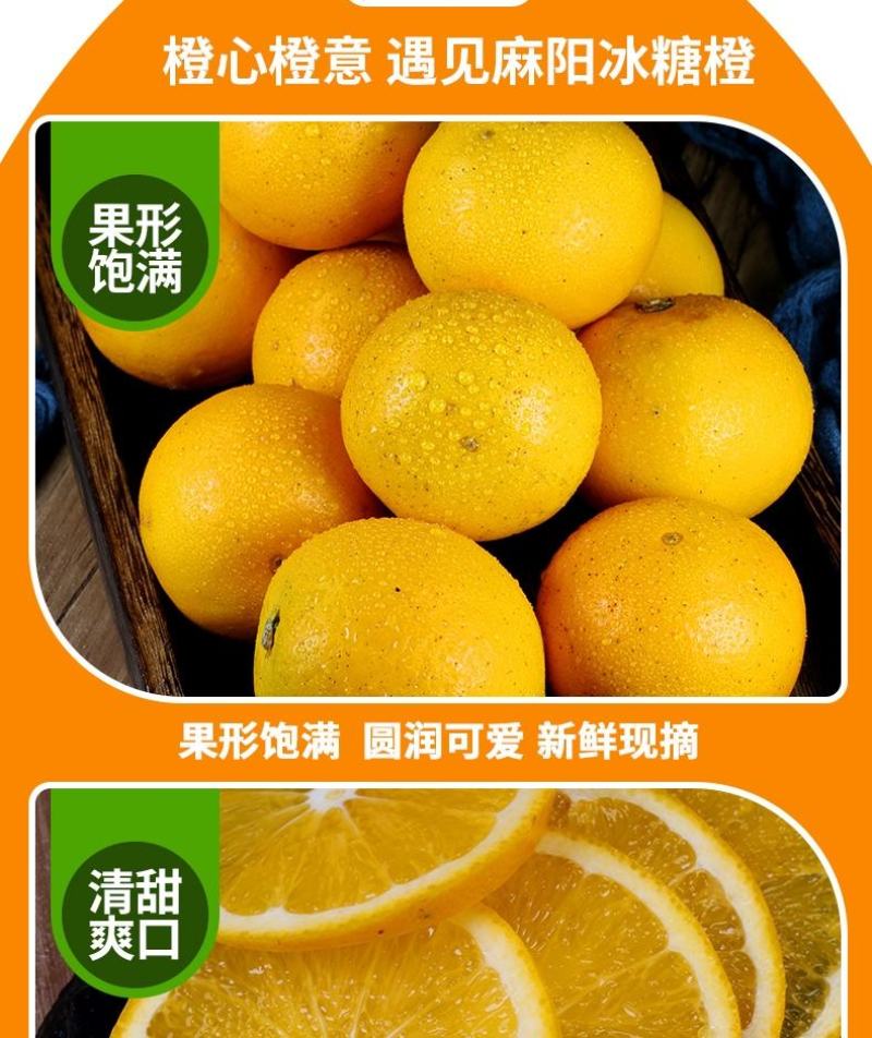 湖南麻阳冰糖橙一件代发整车批发落地配产地代办