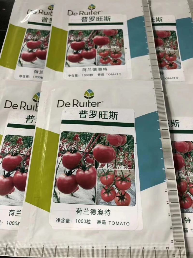 西红柿苗番茄苗粉果抗死棵口感好越冬早春产量高早熟亮粉