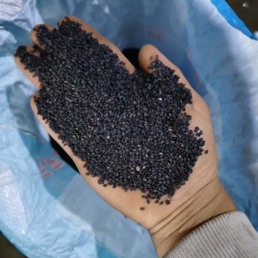 江苏纯本土黑白芝麻