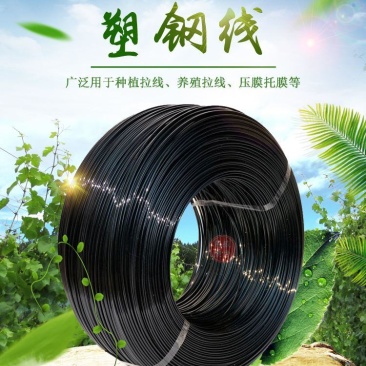 塑钢线高强度托幕线百香果火龙果葡萄棚架园艺线养殖网床拉绳