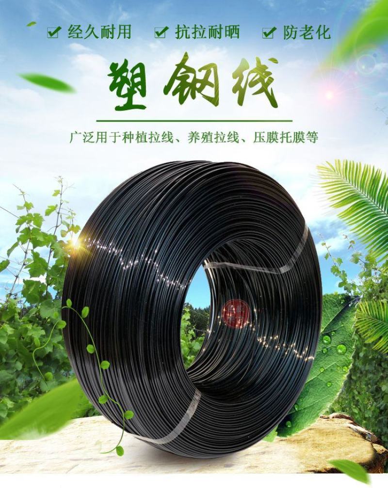 塑钢线高强度托幕线百香果火龙果葡萄棚架园艺线养殖网床拉绳