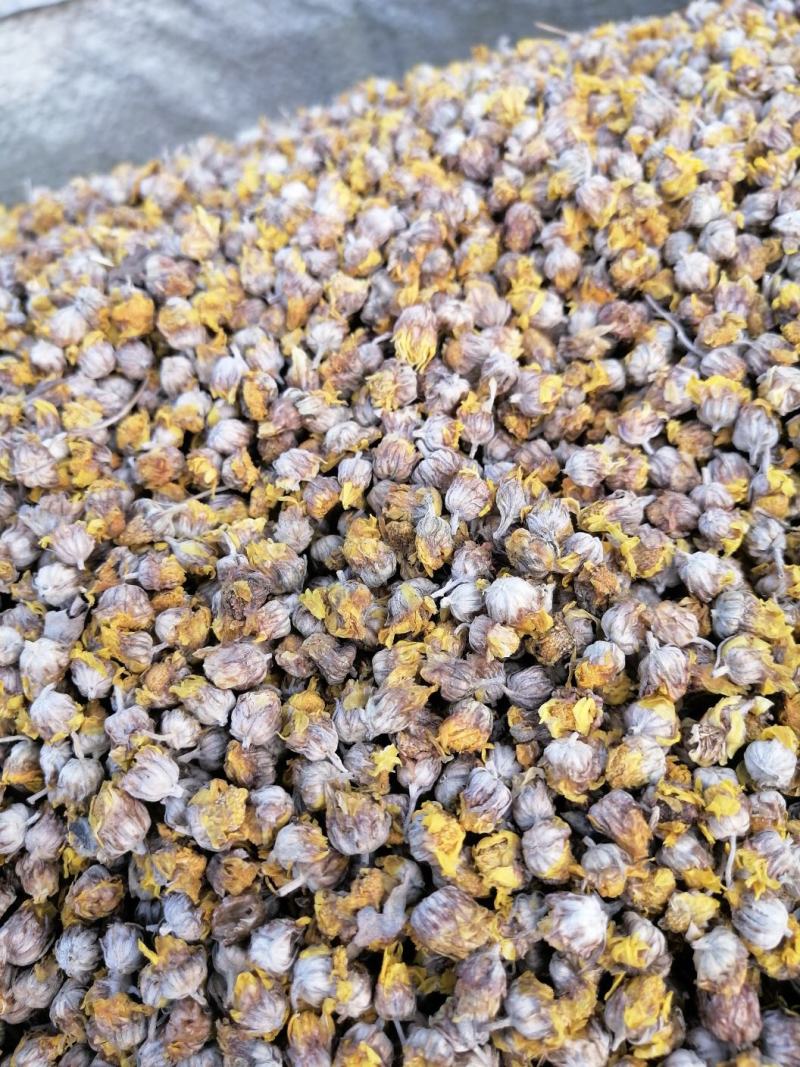 常年供应，商超，花茶店，电商，精品野菊花。