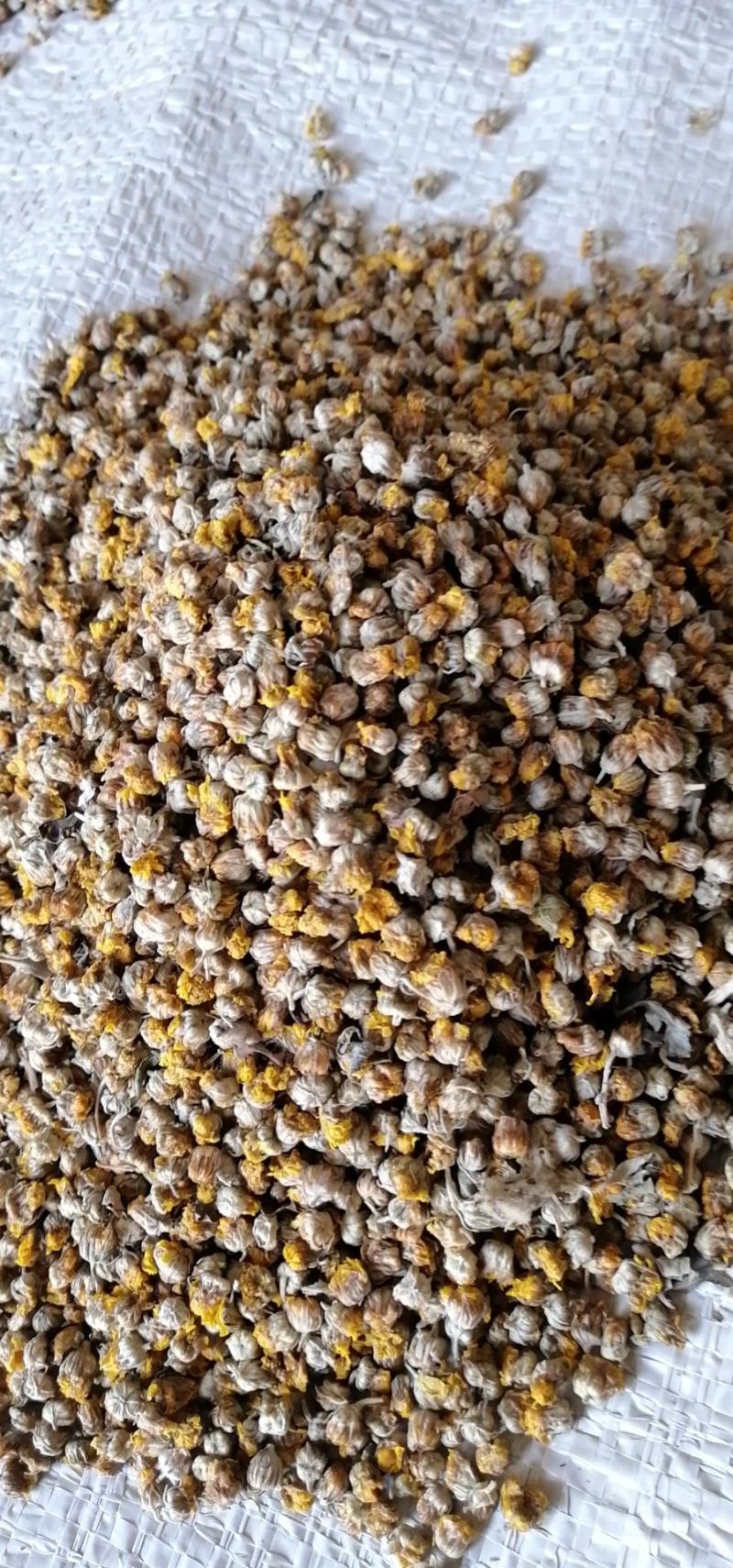 常年供应，商超，花茶店，电商，精品野菊花。