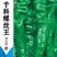 大果螺丝椒、大果陇椒：抗病，高产，品质好，基地专用品种