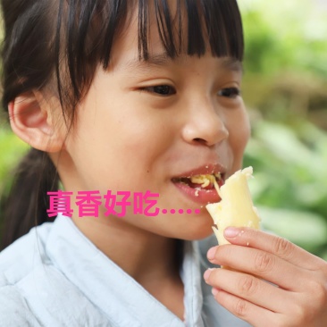 广西特产新鲜黄心木薯粉香糯板栗木薯黄肉木薯