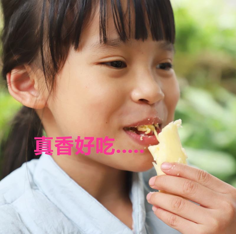 广西特产新鲜黄心木薯粉香糯板栗木薯黄肉木薯