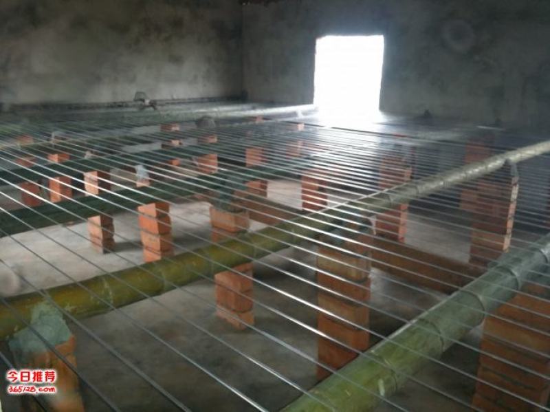 塑钢线高强度大棚线百香果火龙果葡萄罗汉果架园艺养殖拉绳专