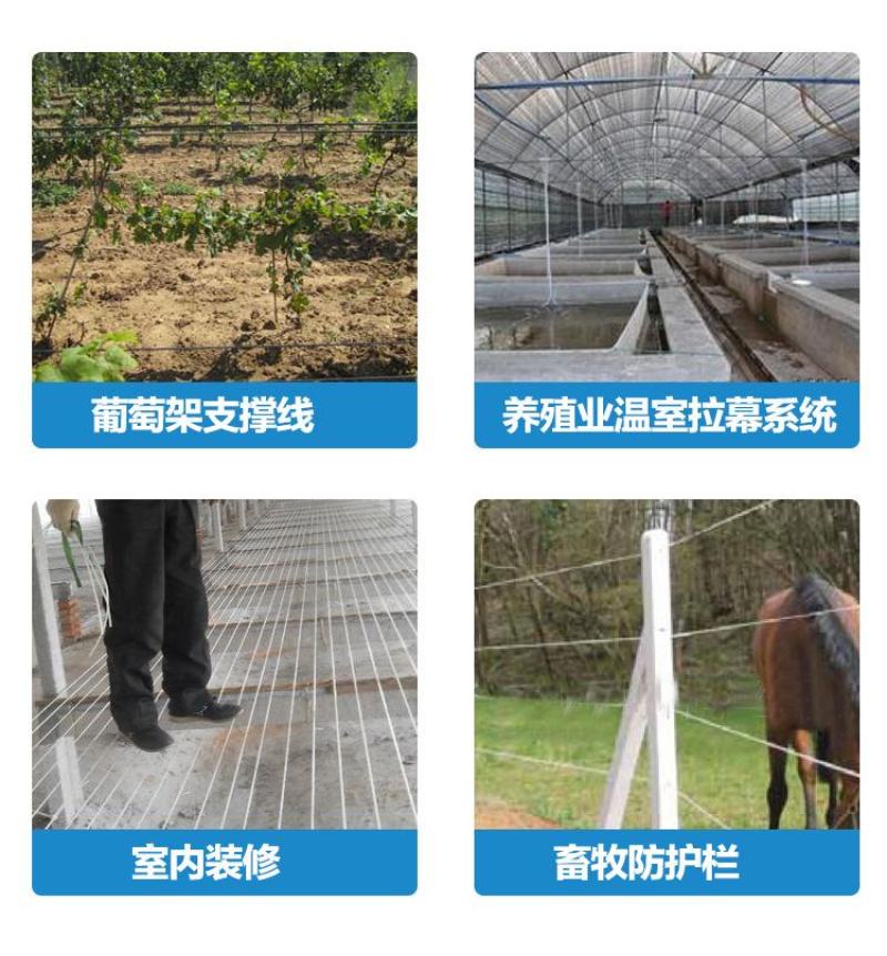 塑钢线高强度大棚线百香果火龙果葡萄罗汉果架园艺养殖拉绳专