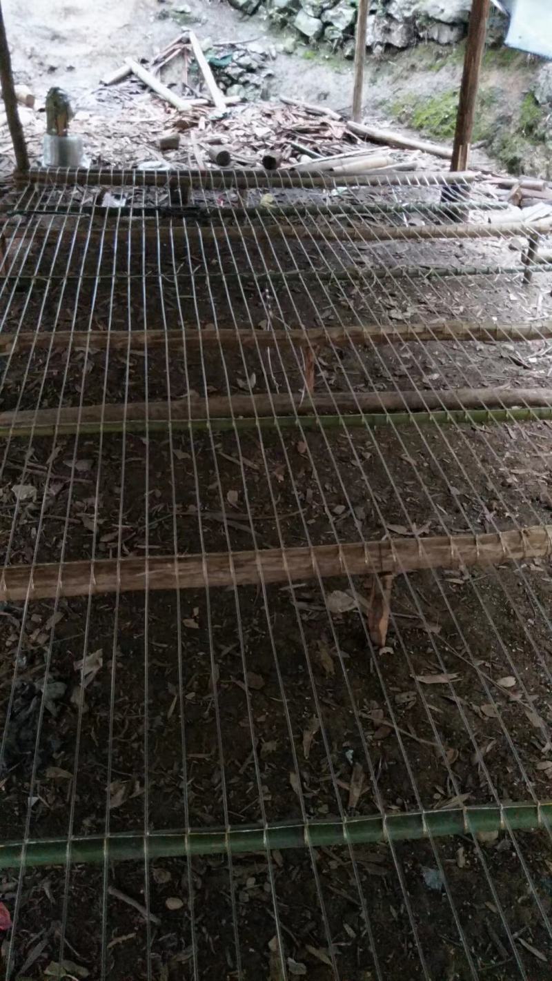 塑钢线高强度大棚线百香果火龙果葡萄罗汉果架园艺养殖拉绳专