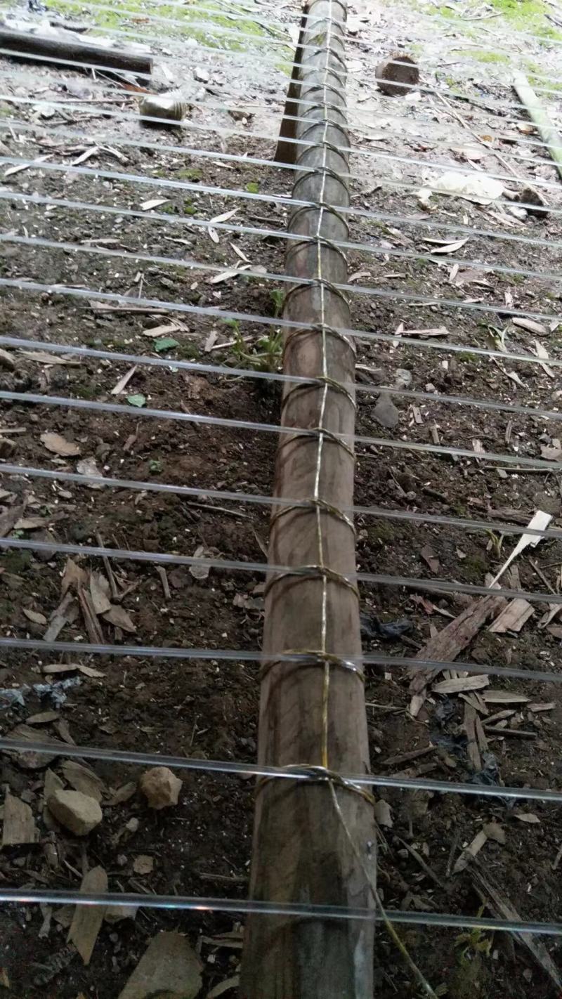 塑钢线高强度大棚线百香果火龙果葡萄罗汉果架园艺养殖拉绳专