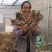岷县现挖无硫新鲜大当归批发