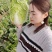菊锦春白菜4~6斤，纯黄心菜～一手货源，产地直发