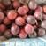 大量供应百香果，产自云南德宏芒市，平均海拔1100，