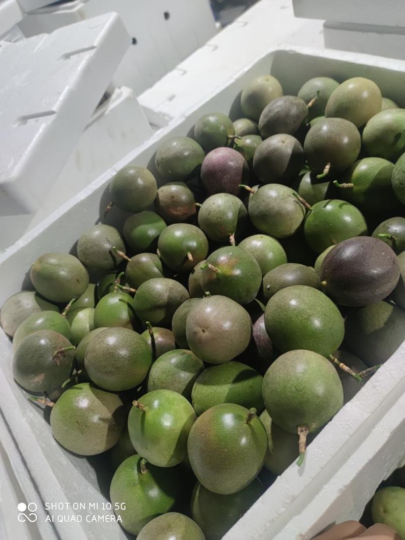 大量供应百香果，产自云南德宏芒市，平均海拔1100，