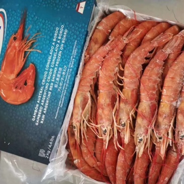 红虾冰冻虾大虾冷冻海捕大虾海鲜水产批发