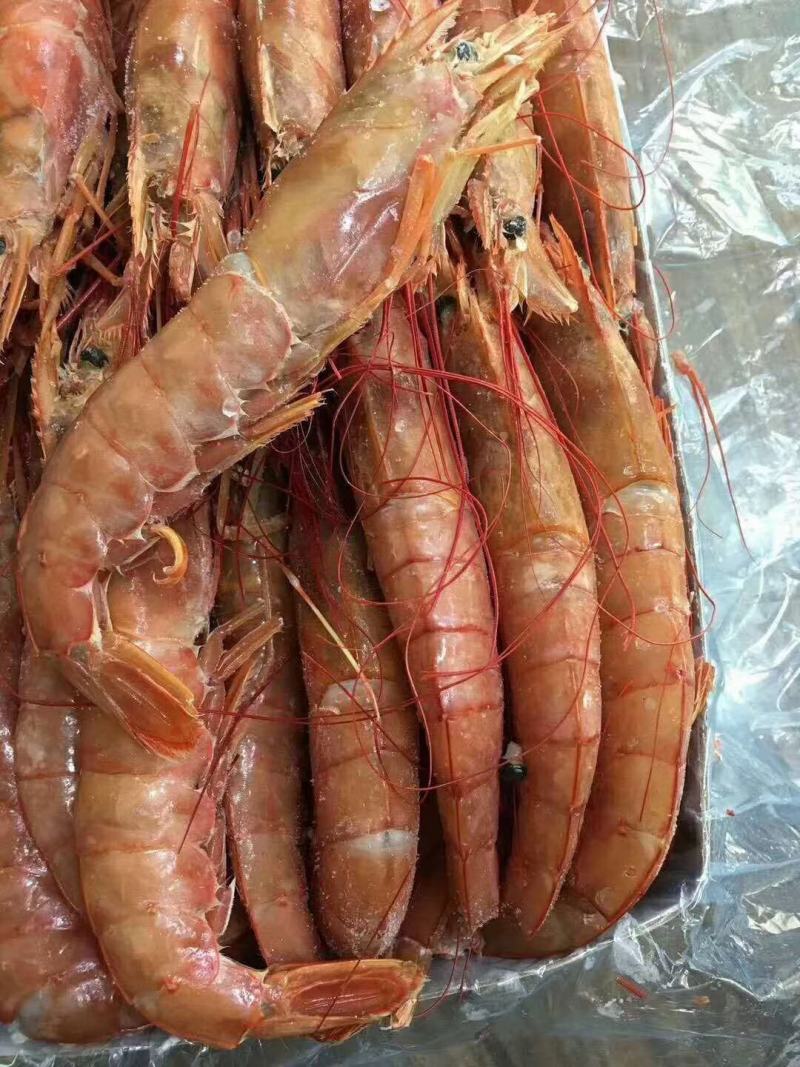红虾冰冻虾大虾冷冻海捕大虾海鲜水产批发
