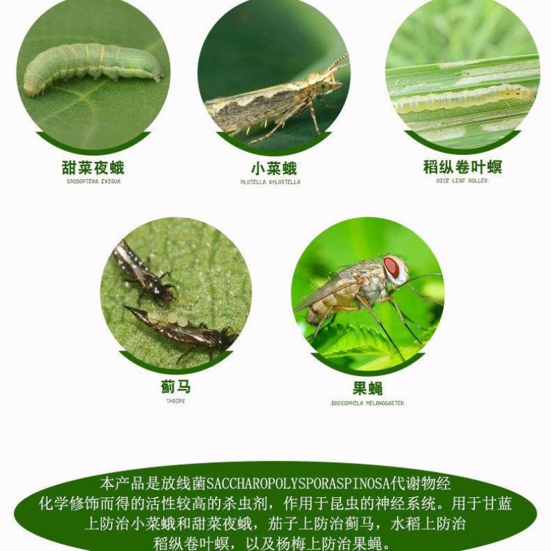 科迪华艾绿士乙基多杀菌素蓟马卷叶螟农药杀虫剂