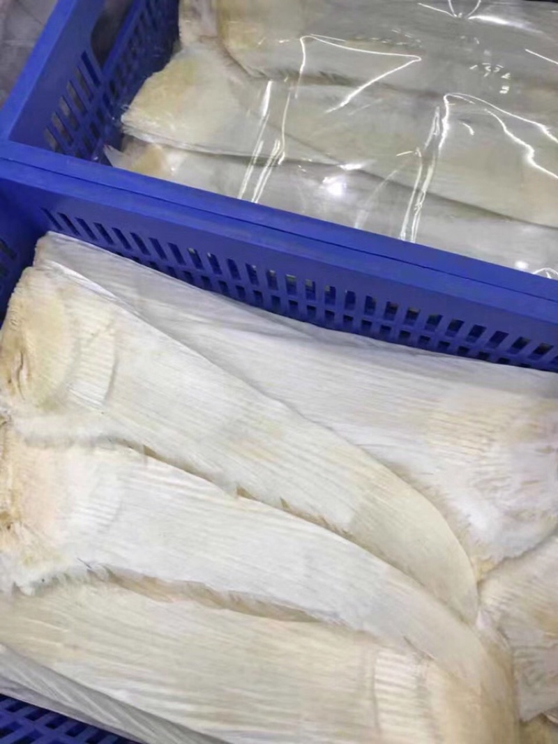 牙拣翅鱼翅新鲜淡干尺寸齐全一件代发