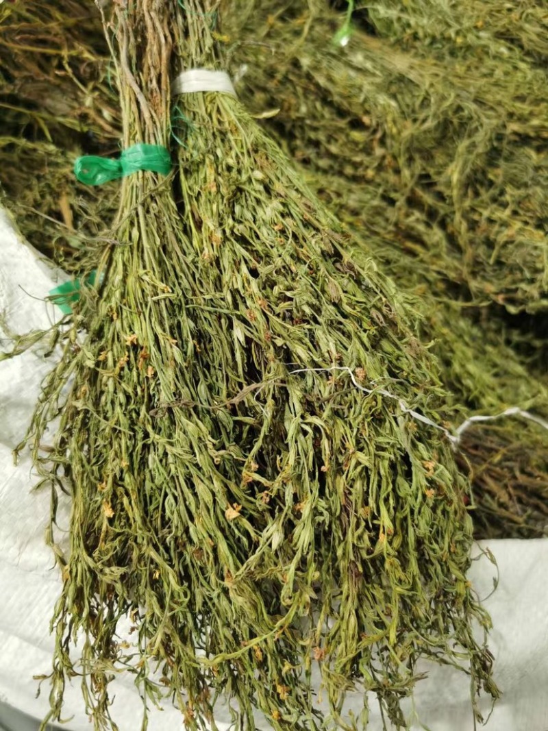 青绿独脚金20公分左右农户自采人工挑选一手货款