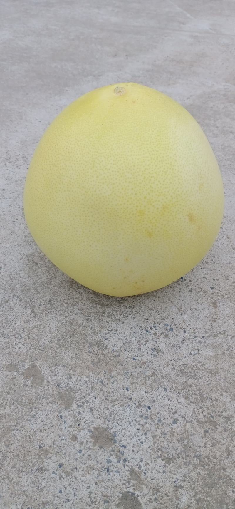 柚子，红心柚，口感好。水分足。