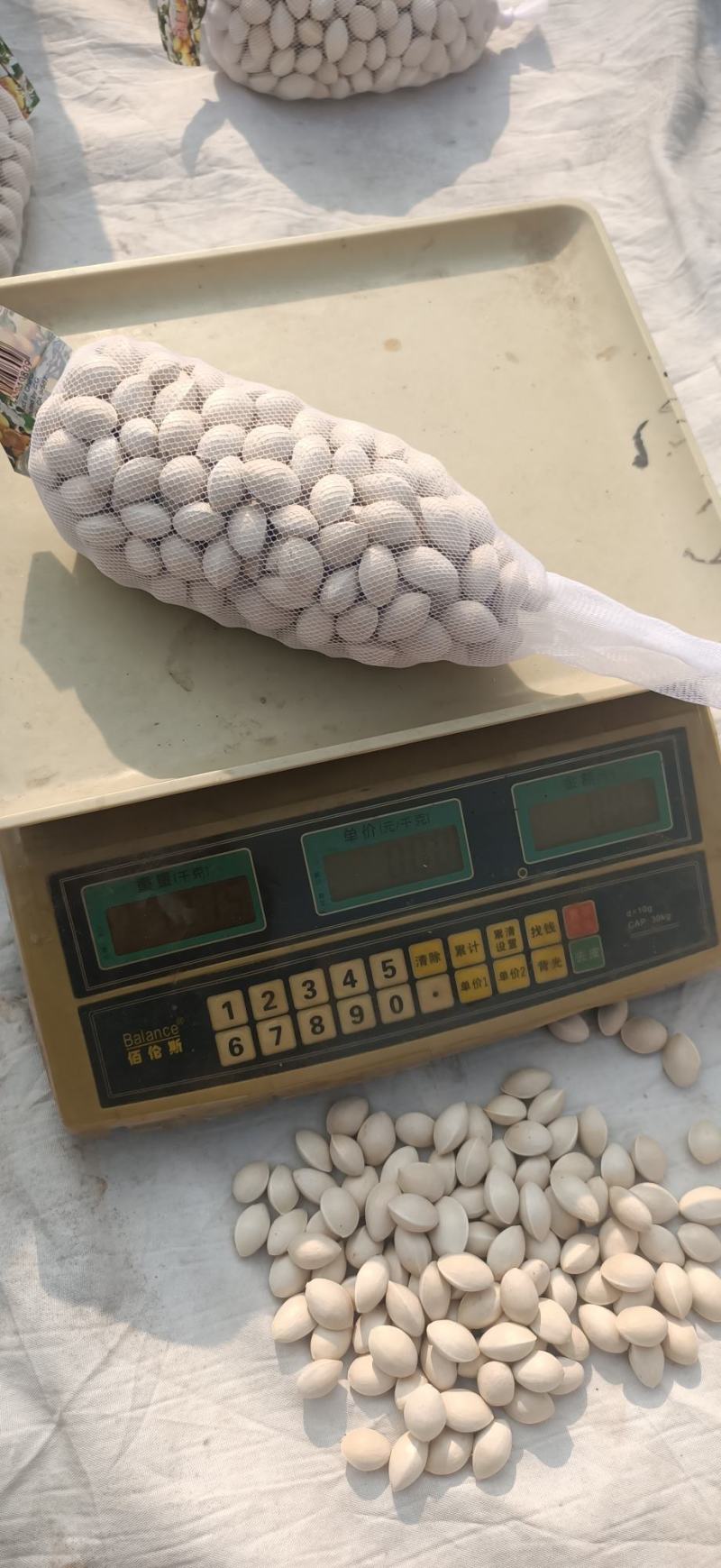 银杏果，白果，邳州特产，产地直销一斤一袋