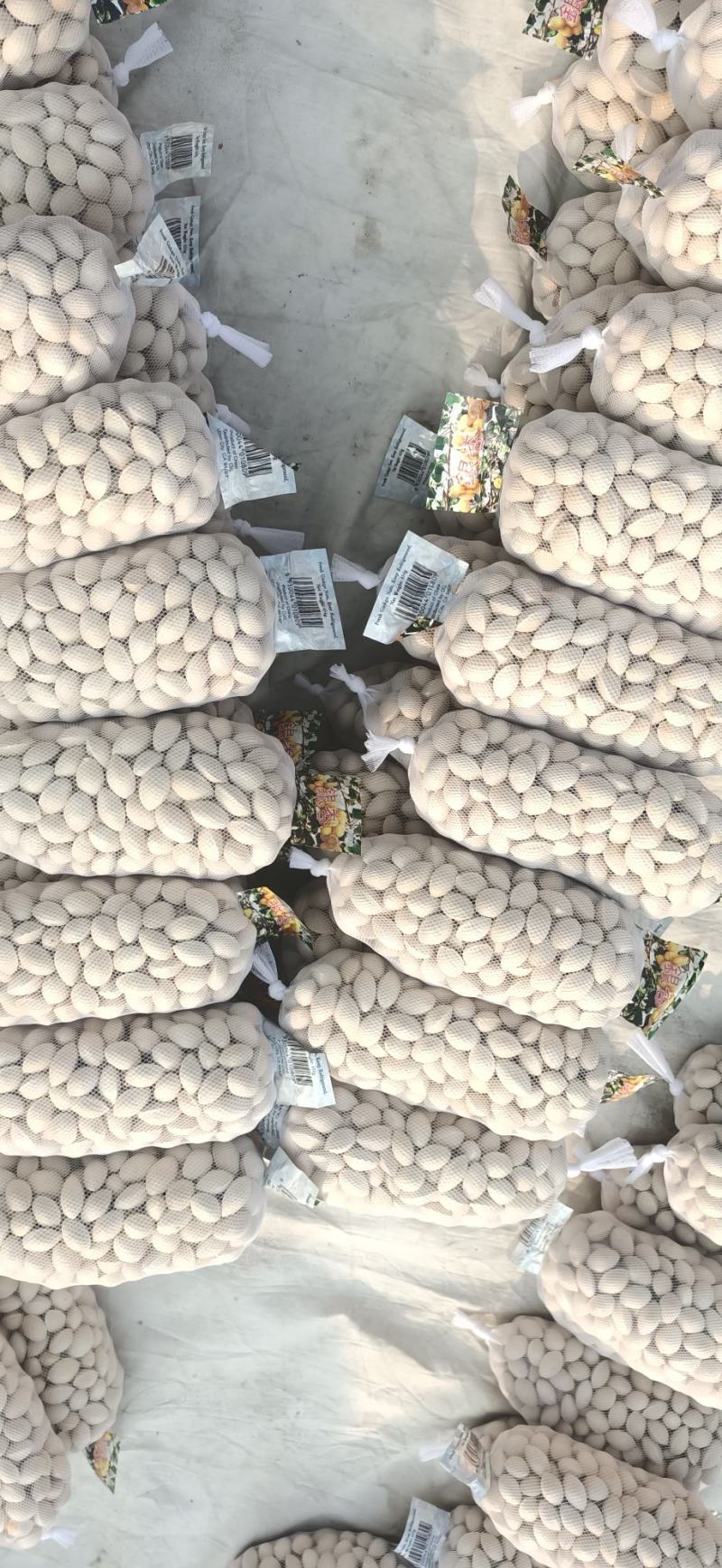 银杏果，白果，邳州特产，产地直销一斤一袋