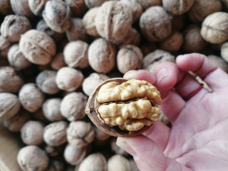 新疆特产185纸皮核桃