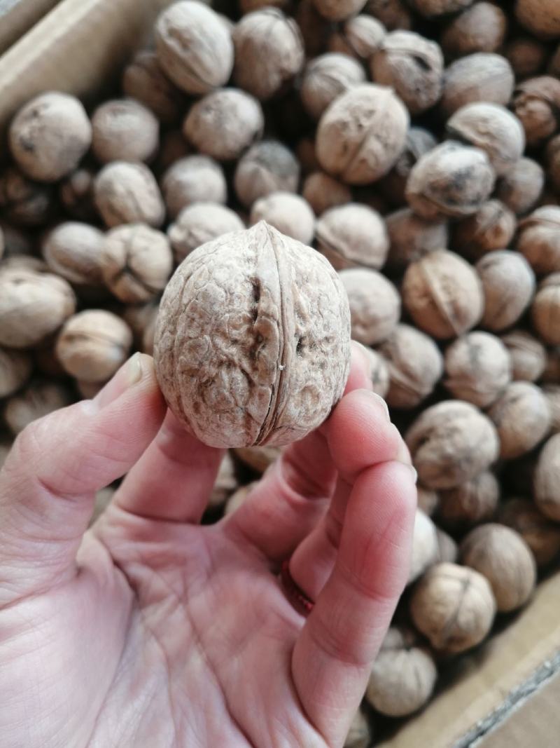 新疆特产185纸皮核桃
