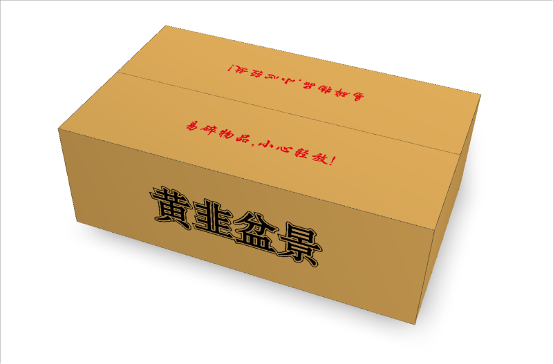 韭菜盆景盆栽韭菜