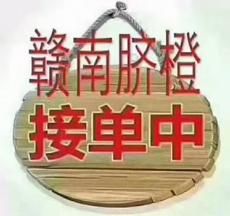 赣南脐橙，果园直接采摘装车，皮薄多汁，一手货源，果园预订