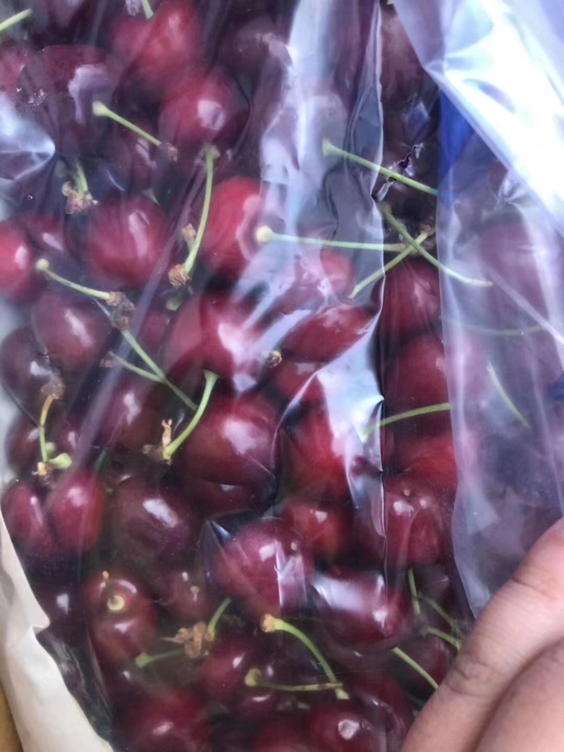 智利车厘子10斤装XL新鲜水果现货新鲜现货一件代发